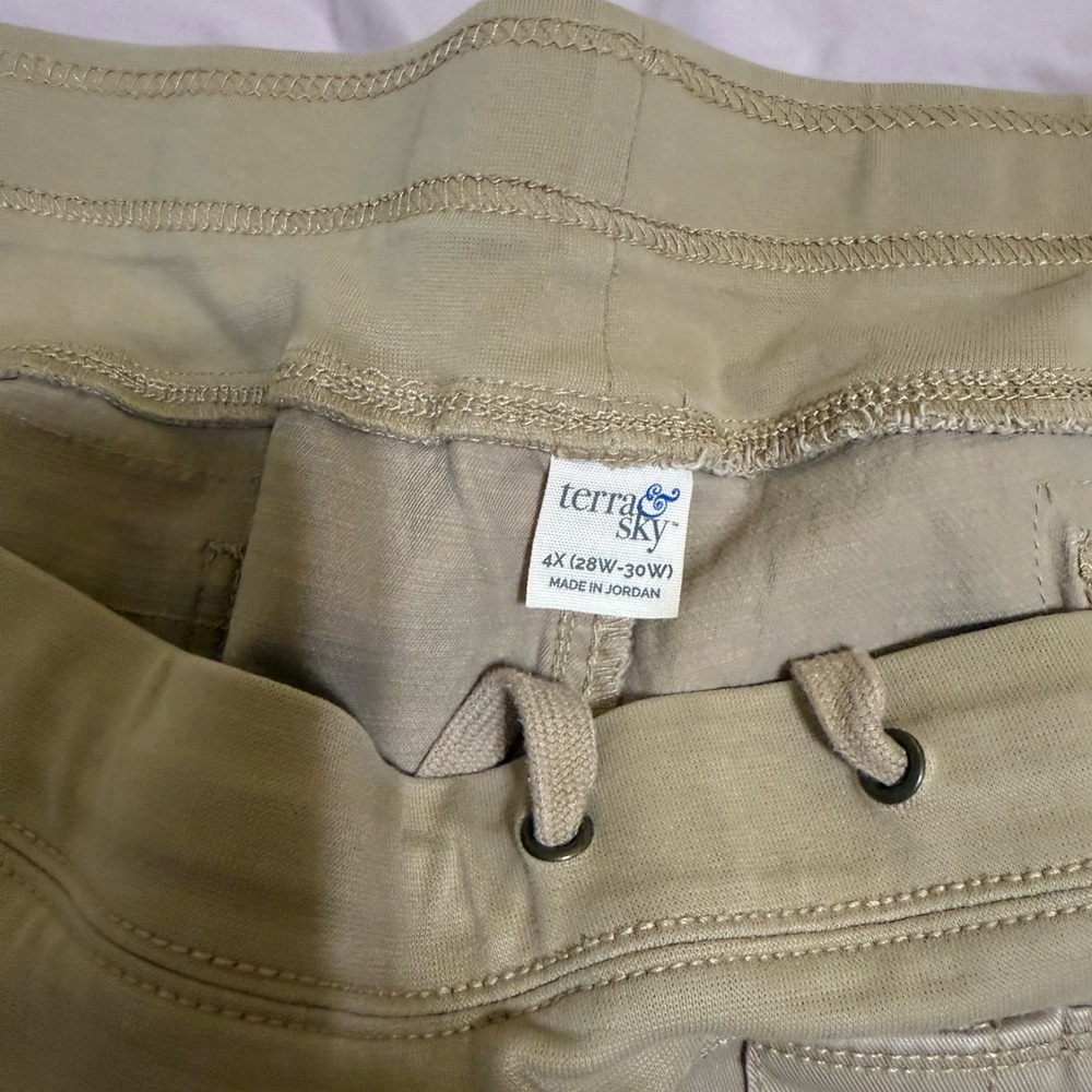Terra & Sky Women's Tan Chinos
